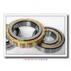 35 mm x 80 mm x 21 mm  ISO NJ307 cylindrical roller bearings