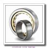 70 mm x 100 mm x 57 mm  INA SL15 914 cylindrical roller bearings