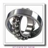 17 mm x 47 mm x 19 mm  FAG 2303-2RS-TVH self aligning ball bearings #3 small image